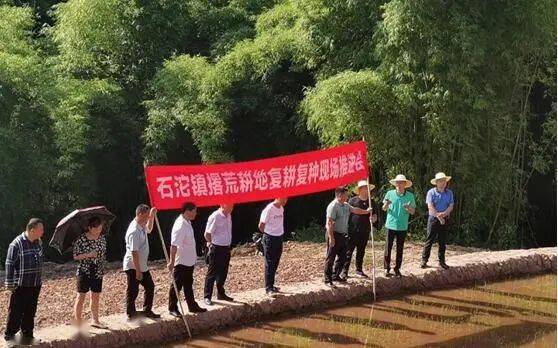 涪陵乡镇街道一把手这周在干啥第58期