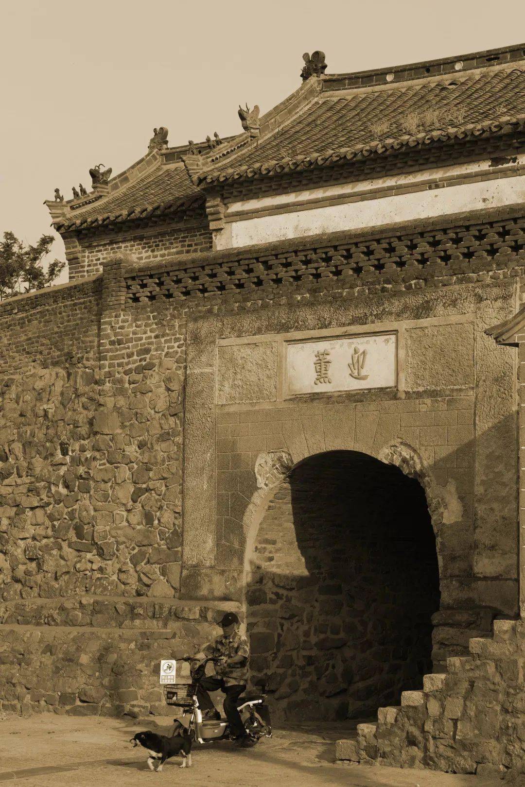 快来pick你心中的最美乡村!_崂山_晓望村_特色