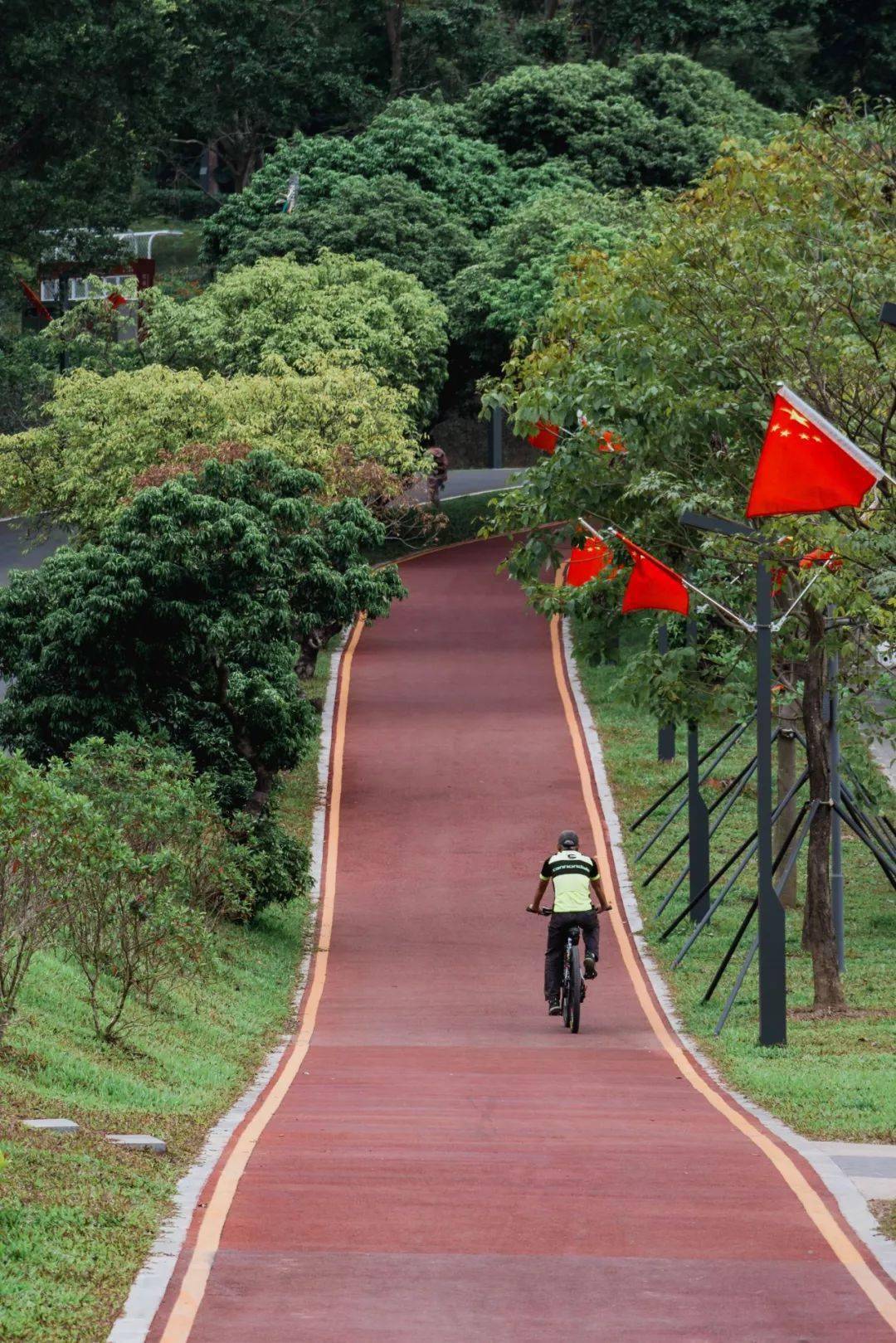 羊台山自行车绿道入口图片