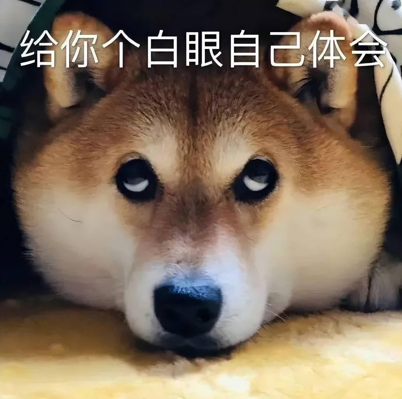 �Ϲ���2200Ԫ����һ�Է�����������װ������Ʒ����Ӳ� ...