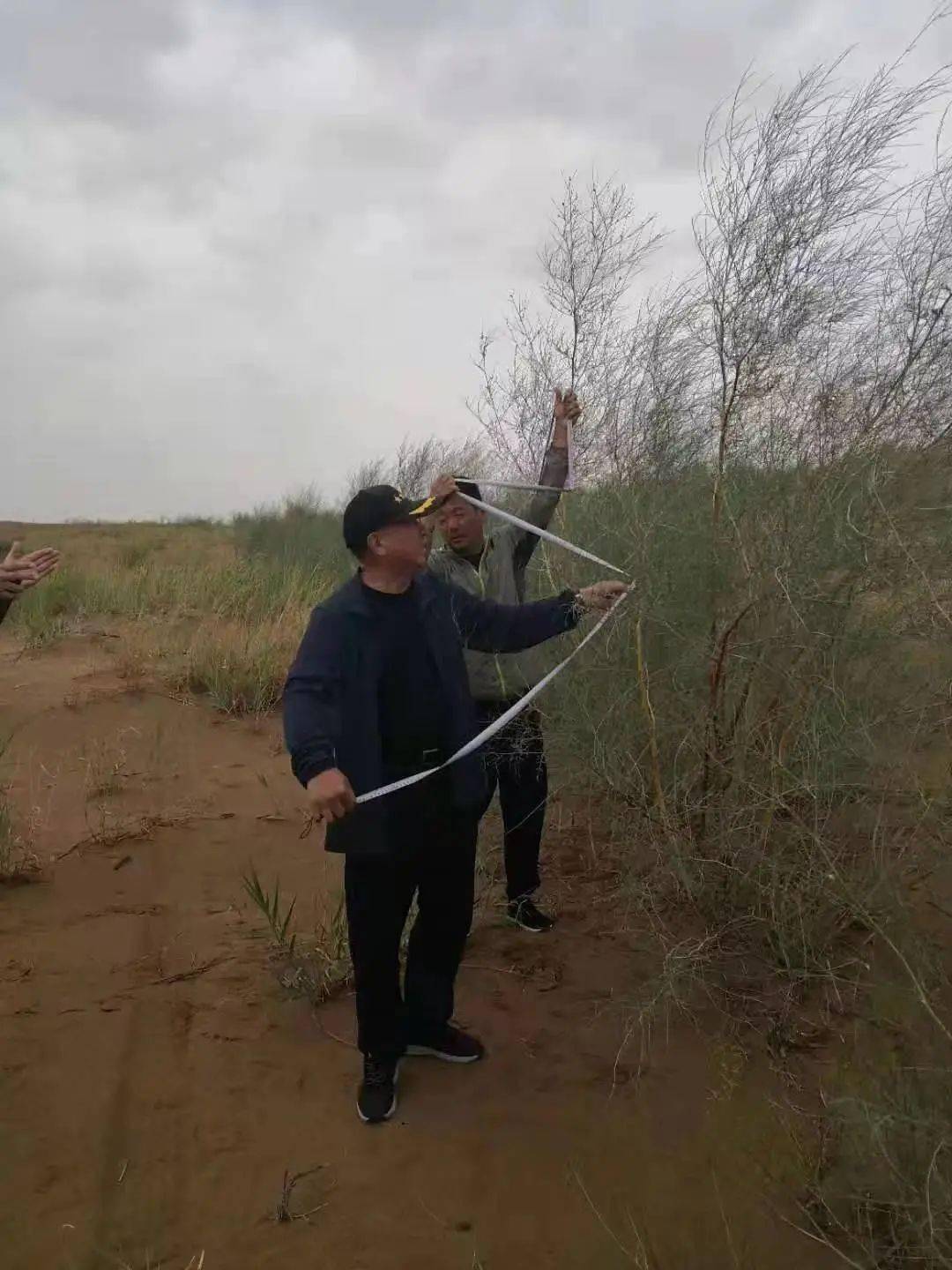 退休老兵的"执着",让荒漠成为绿洲_李德海_治沙_沙漠