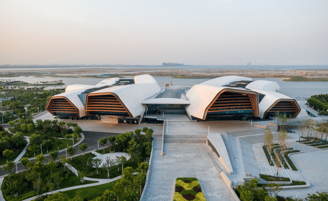 天津国家海洋博物馆小鳁鲸塑化标本