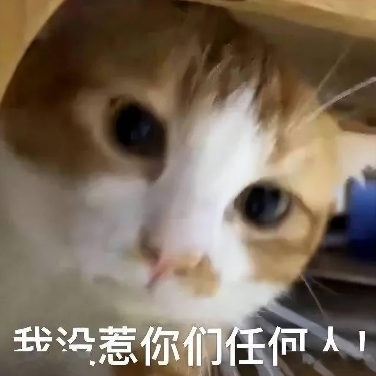 �Ϲ���2200Ԫ����һ�Է�����������װ������Ʒ����Ӳ� ...