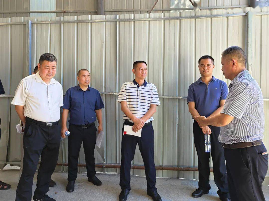 屈春林视察农村垃圾分类工作_生活_处理_教字垭镇