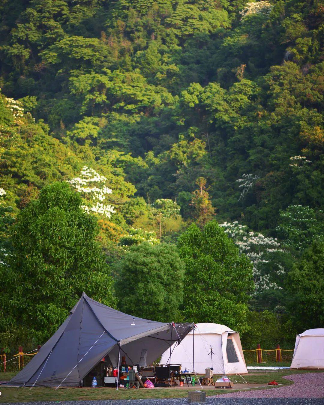 逃离城市向山野出发一起来这里露营吧