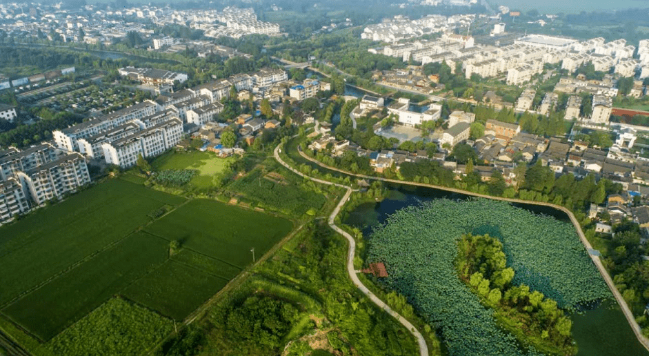 肥西三河国家湿地公园图片