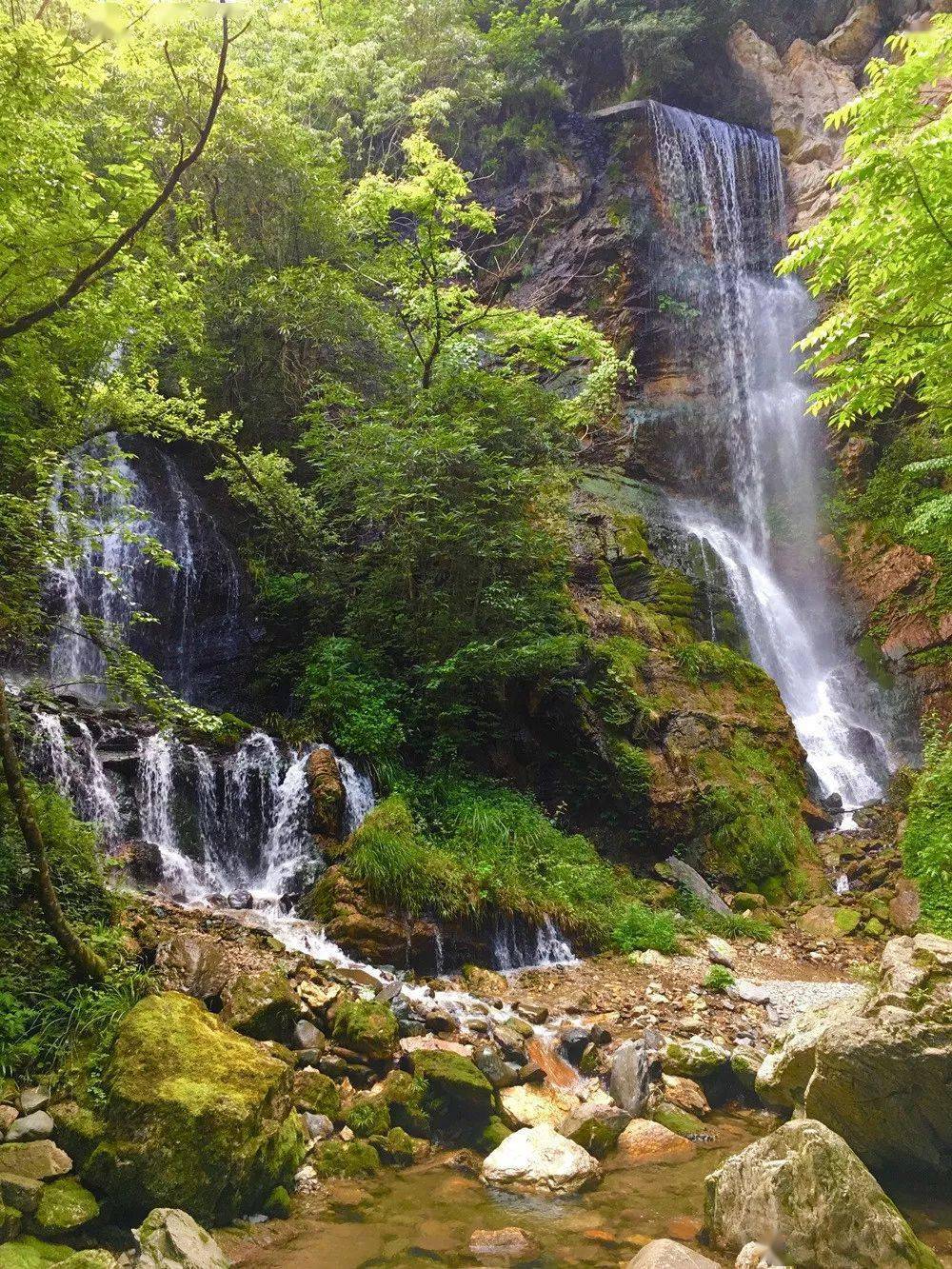 活动公告▏2022神农架云海飞瀑山水仙境原始森林探秘5日精品自驾之旅