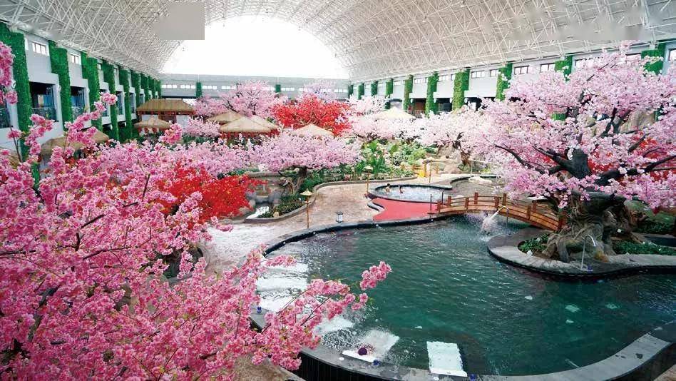 女神宫汤泉城活动时间:7月13日—7月31日活动主题:邀您泡温泉,嬉水