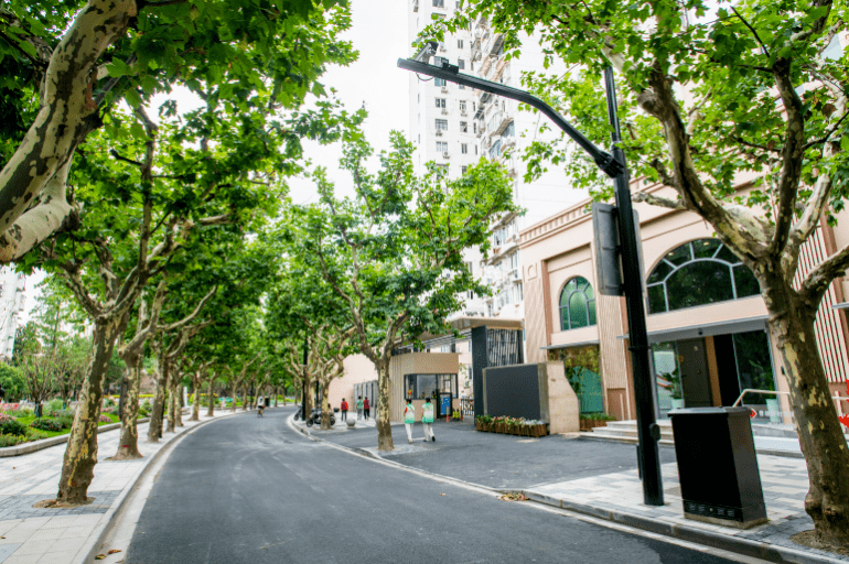 花溪路美丽的街景棠浦路,花溪路,枫桥路…在普陀,一条条马路上的