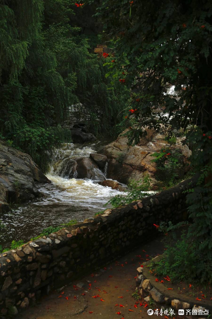 壹图集雨后泰安虎山水库大坝瀑布气势如虹引众多游客打卡