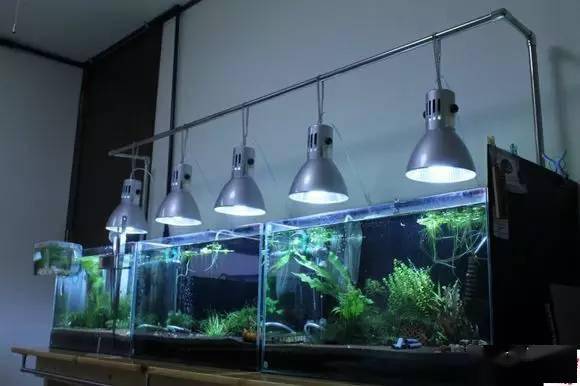 草缸底床知识与一大波大杂烩来袭 水草 基肥 砂子
