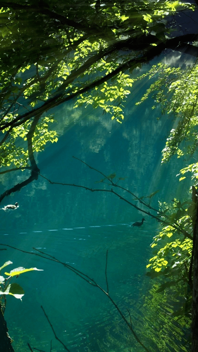 安顺山林图片