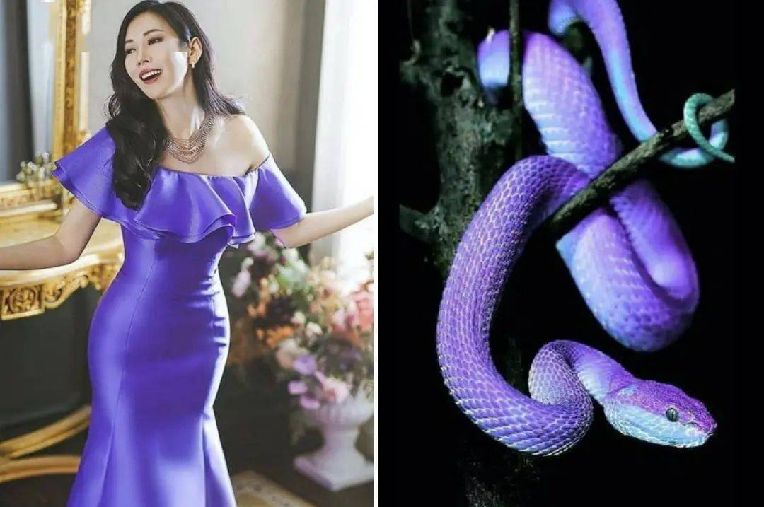 徐睿知这类蛇蝎美人的魅力,在哪儿?_#amber_#omega_长相