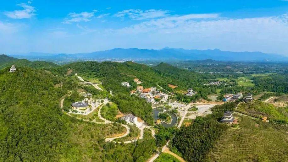 请把这条推给想来阳西旅游的朋友!_自然资源_中国_程村镇