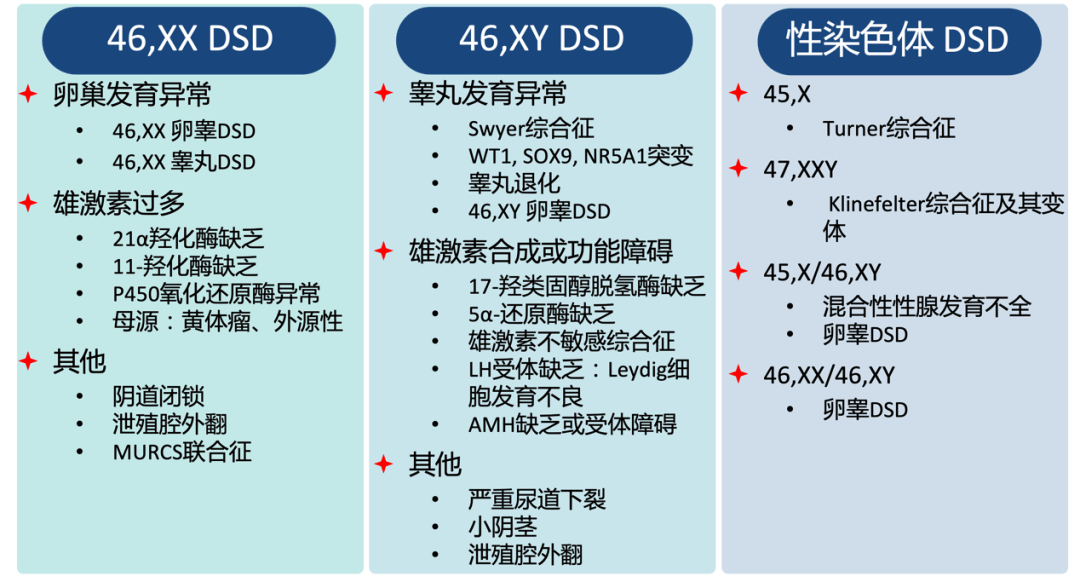 包含同时长有男女生殖器的词条-第1张图片-鲸幼网