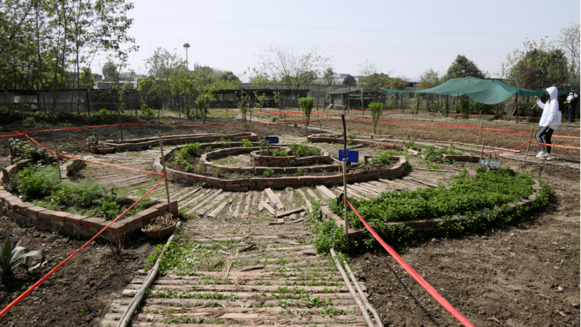 农旅项目的4种新玩法