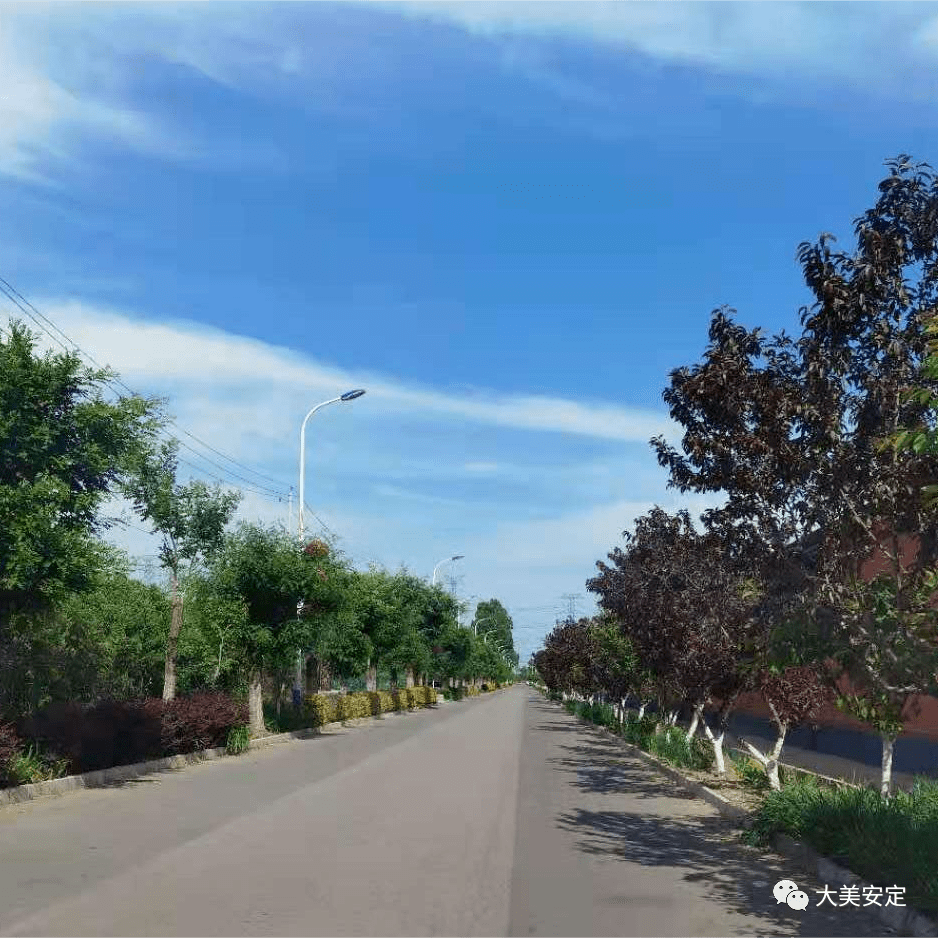 大兴区安定镇后安定村获批首个森林村庄一起来看看