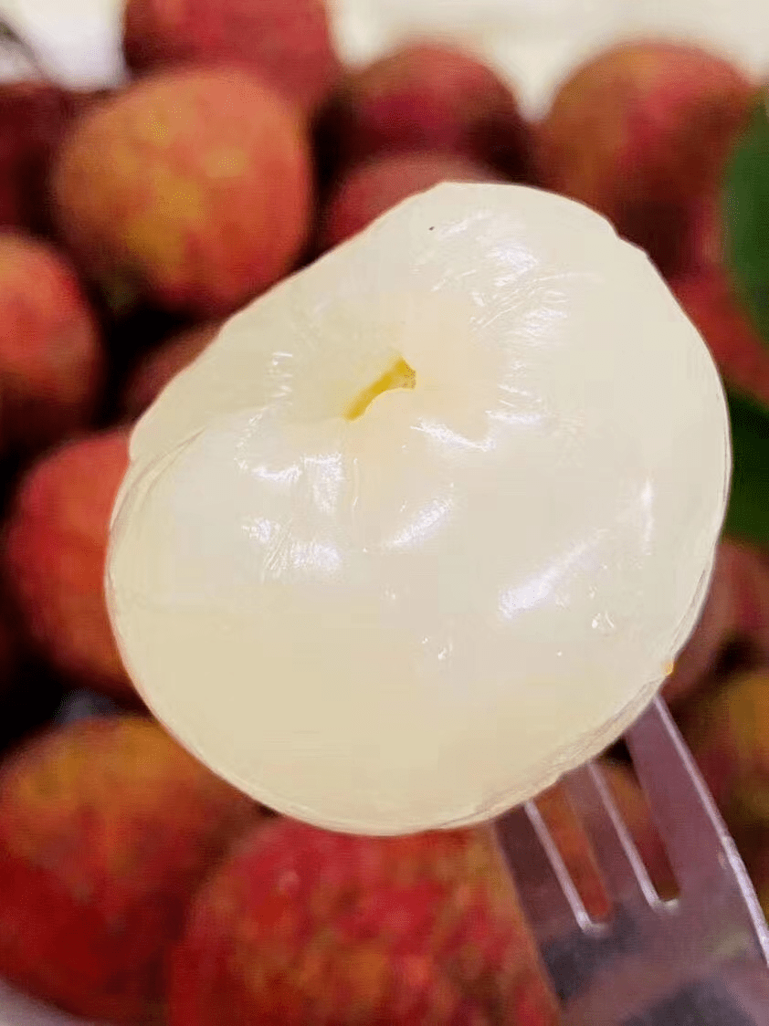 【蜜丁香荔枝王】小焦核,个头比其他荔枝略大!