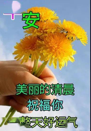 最新漂亮夏日早上好表情圖片鮮花帶字2022夏天最美早安動畫鮮花圖片帶