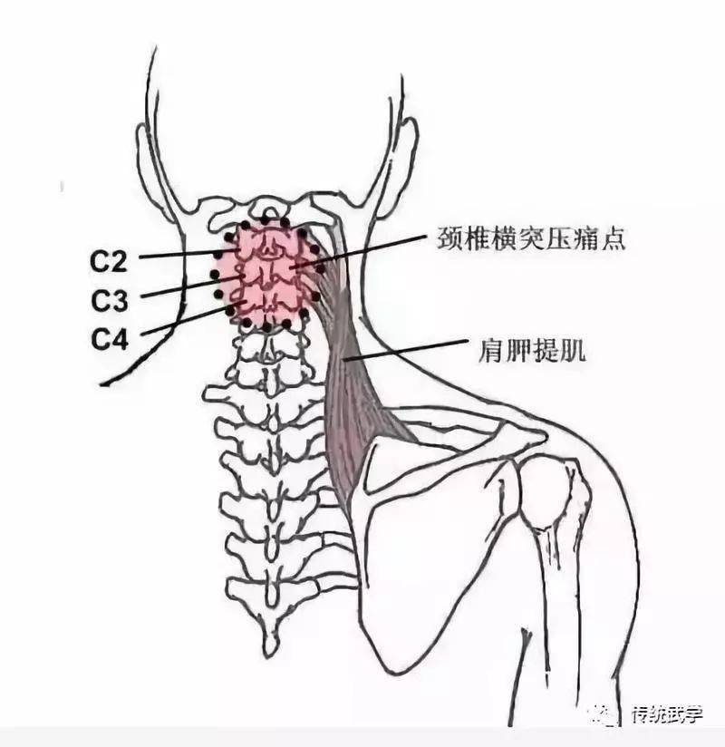 解密筋骨训练