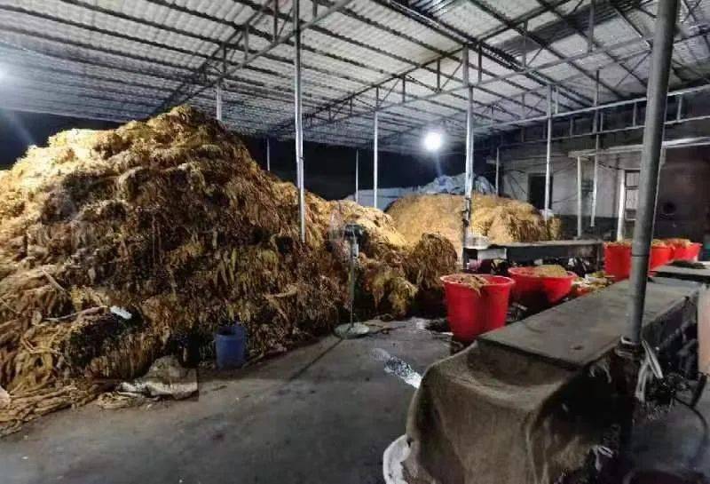 衡阳捣毁一地下烟丝加工厂,查获烟叶烟丝80余吨!