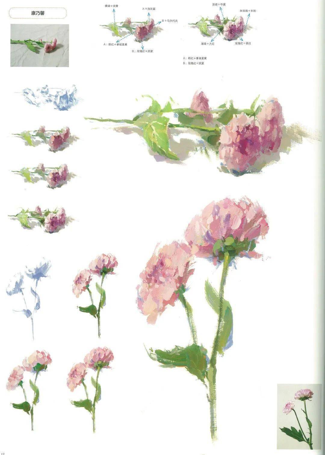 赶紧临摹走一波~水粉单体花卉系列塑造教材分享/专/注/艺/术/爱好者