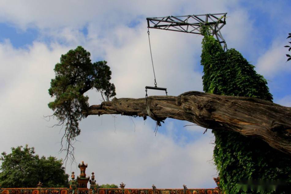 天水风景名胜南郭寺