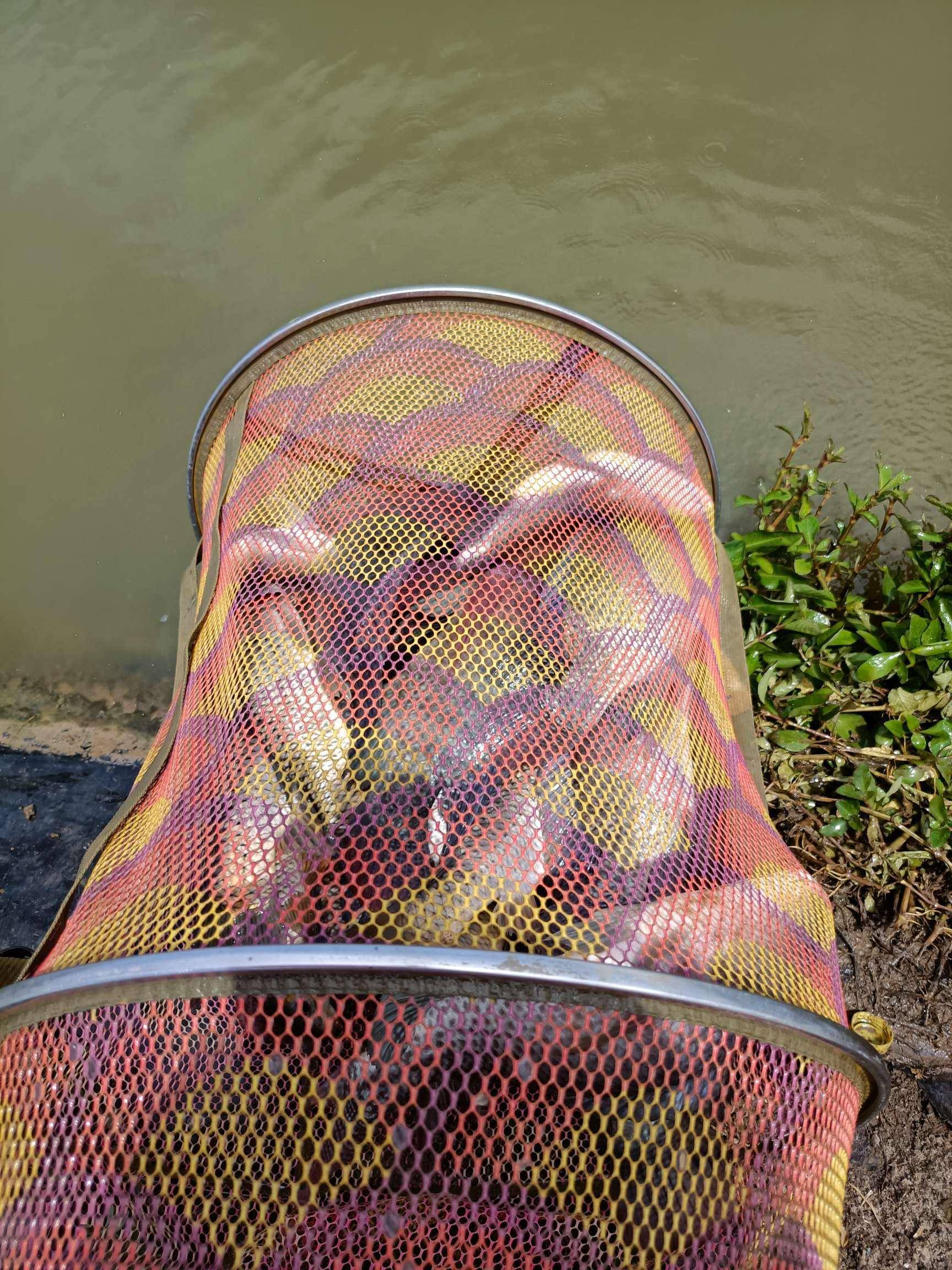 难得黑坑走一遭意外狂口喜迎爆护