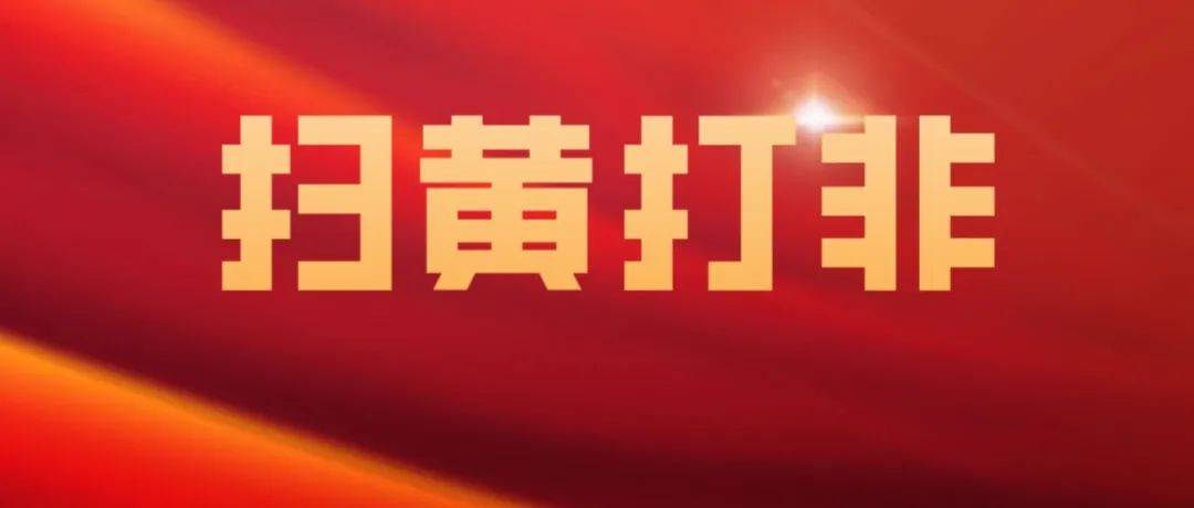 【王益报道】全区“扫黄打非”工作会议召开_联防_治理_要求