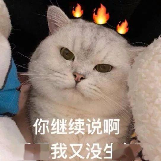 猫咪表情包 赶紧收藏起来_奇葩_信号_箭头