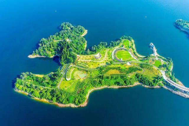 共富自然资源之约丨森林淳安的城市新名片千岛湖植物园