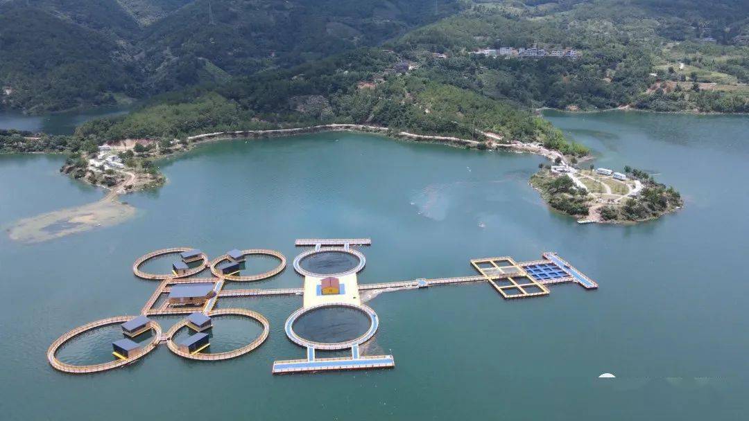 尤溪又添热门打卡地!听说还有水上餐厅,休闲垂钓……_旅游_闽湖_项目