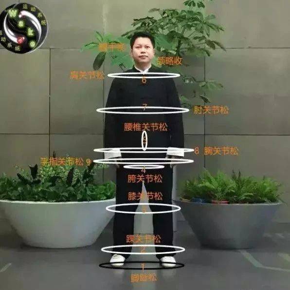 无极生太极,无极桩功的练习方法_自然_真意_初学者