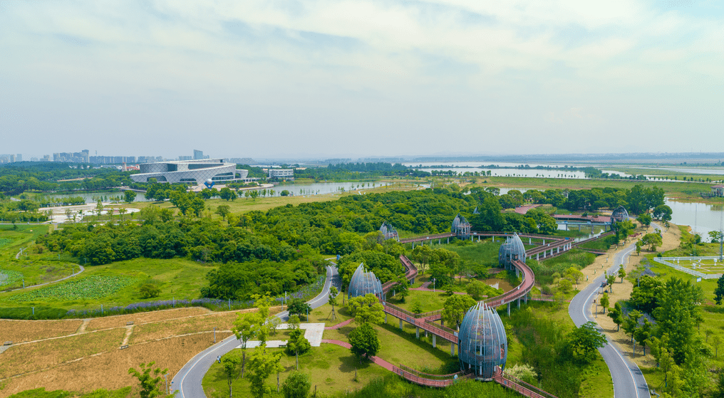 共青城旅游景点图片