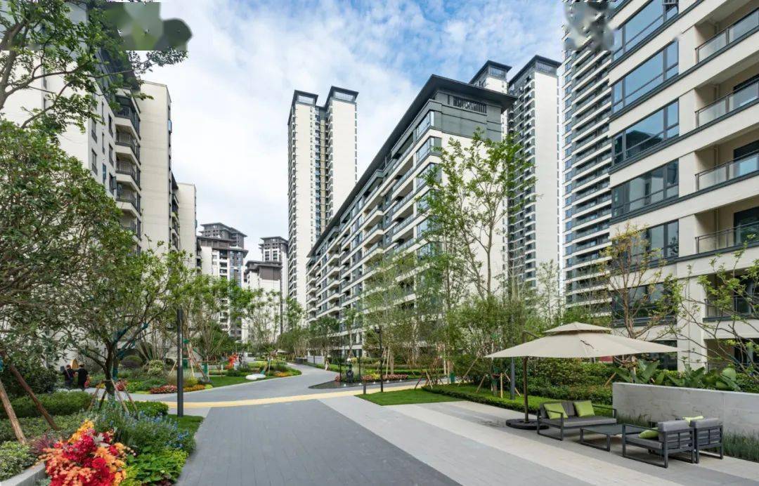 日本晚樱,绚丽海棠,低分枝红叶李,鸡爪槭,红枫等;61 地被:天竺桂