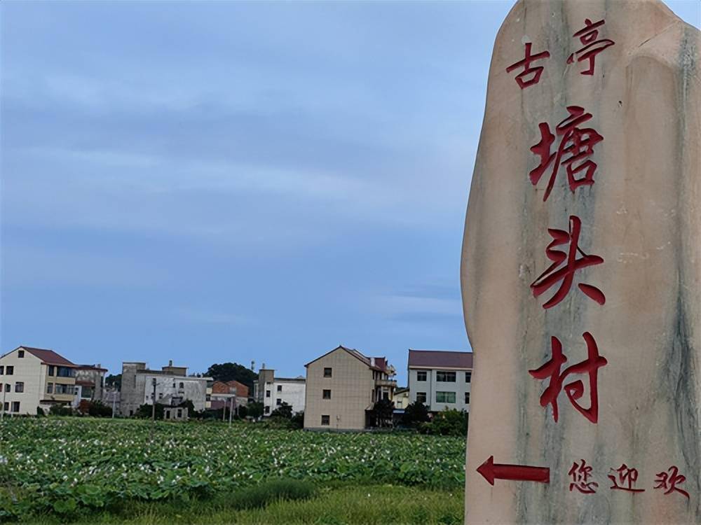 走向乡村振兴〕樟树市洋湖乡古亭村映日荷花别样红_村民_产业_农旅