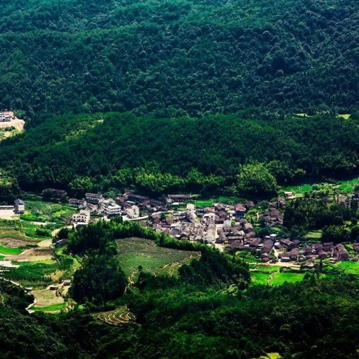 山水小城,在假期中解锁武平的碧水青山→_梁野_松花_黄坊