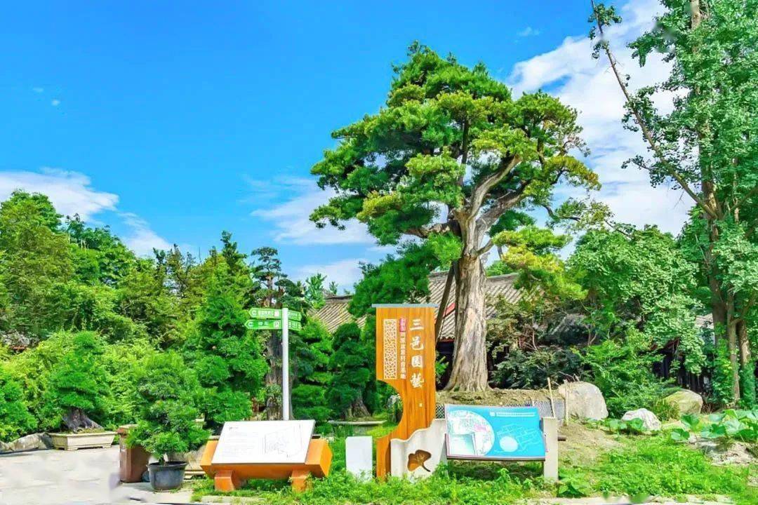 三邑园艺——大暑将至,此去闲游_盆景_艺术_温江
