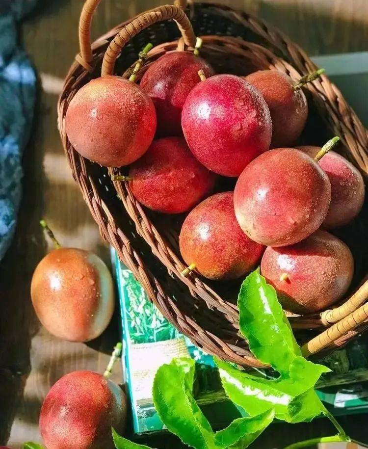 9元购【高山紫香一号百香果】中小果带箱5斤装/约55个,水果界的vc之王