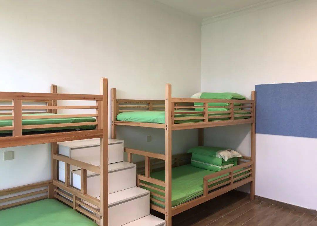 【科学盛宴】清华附中稻香湖学校营地加开,相聚盛夏,相聚清香_化石