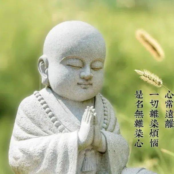每日一禅：请记住：脾气永远不要大于本事。_情绪_主人_心态