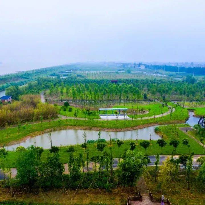 日出江海 美丽启东 | “U美江海岸”上线新风景_绿廊_城市_生态