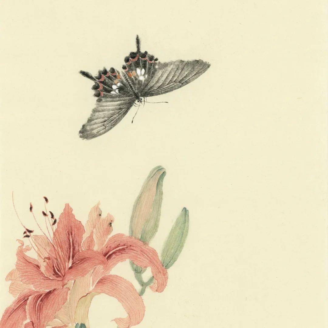 她的花鸟画笔墨细腻,清雅不俗_绘画_方严_画面