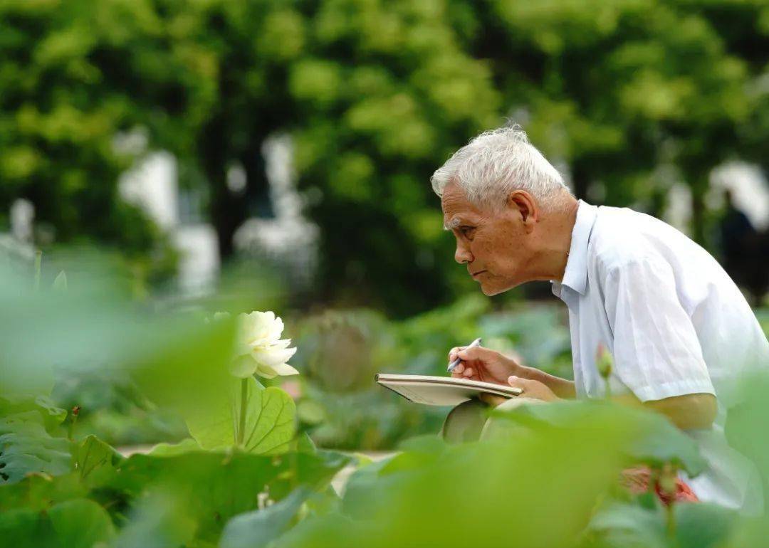 张宏扬图片