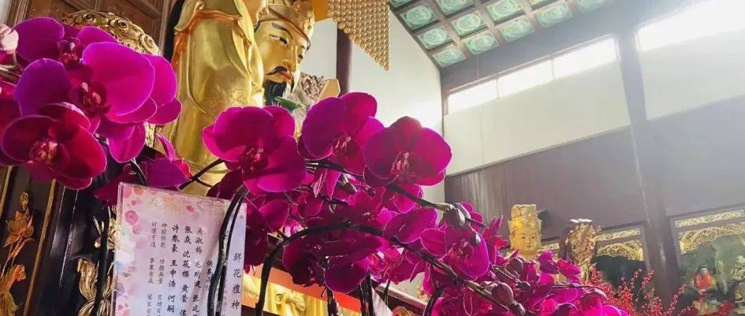 鲜花礼神｜上海白云观主殿神前鲜花接受供养！_信仰_花为_神明
