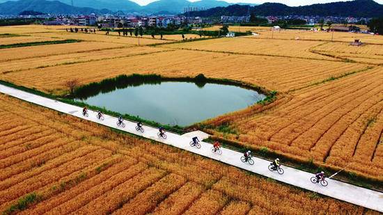 疫情之下骑行"风起",自行车门店从生意不好转向拿不到货_安文潞