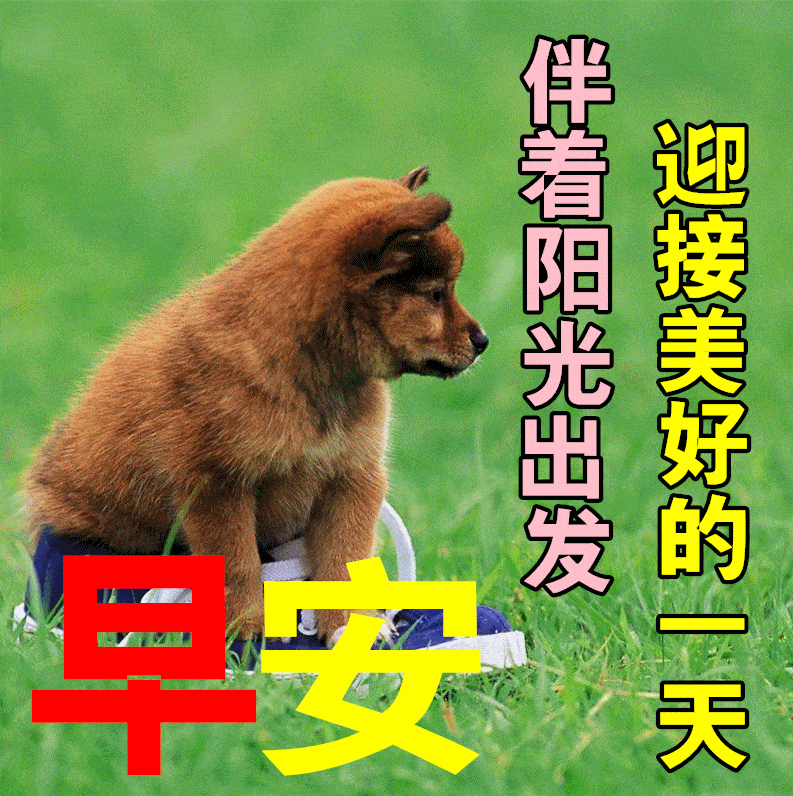 7月26日最新早上好祝福动态表情图片大全早上好问候语句子