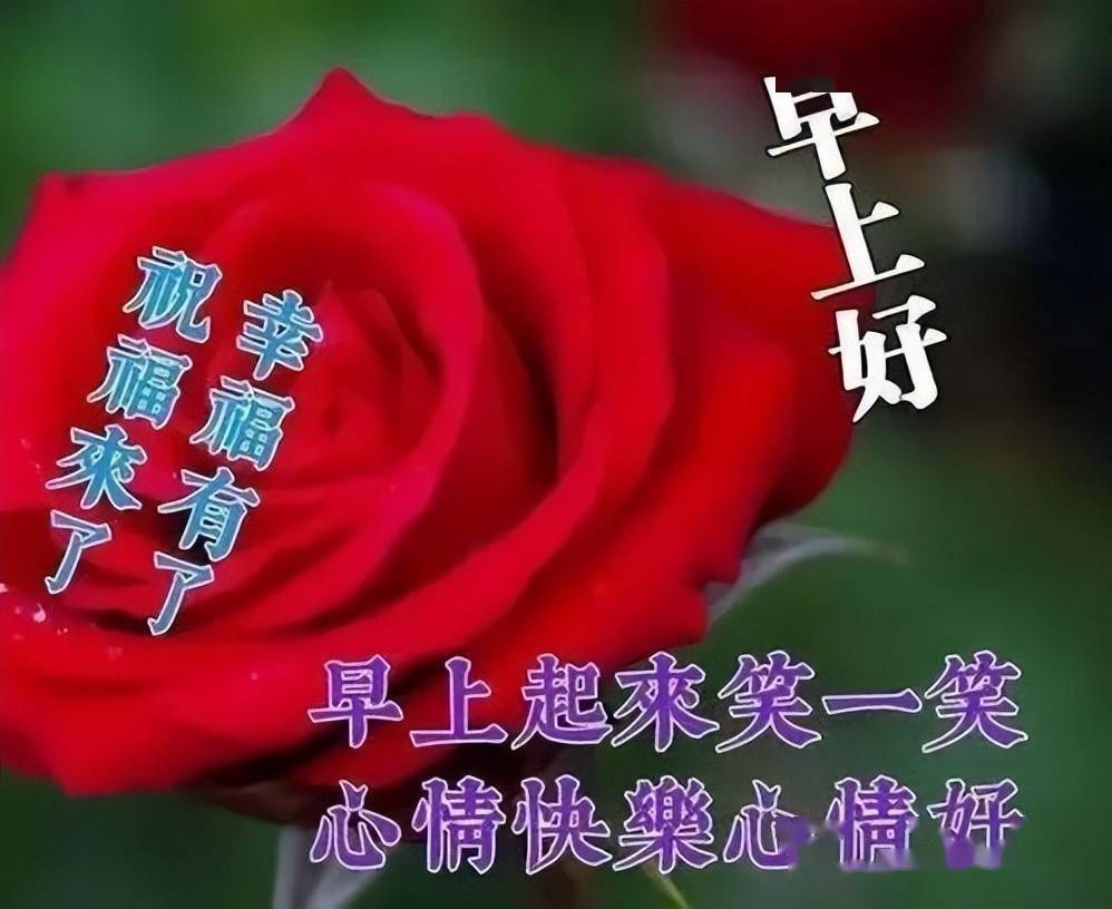 今日最新早上好表情大全吉祥好运送给你