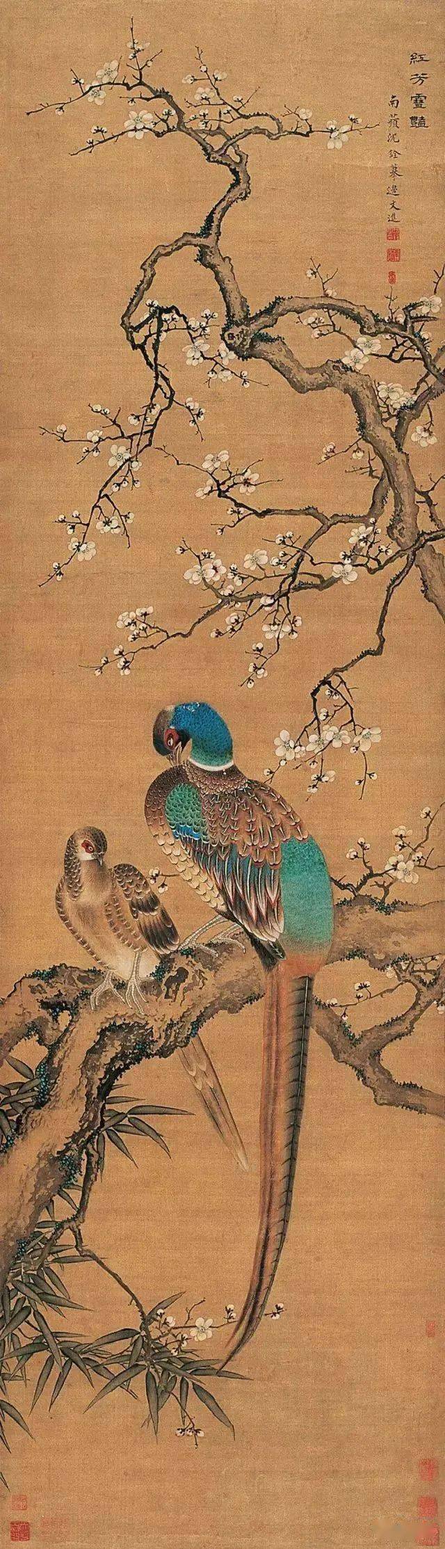 沈铨：清代江南第一高手，一幅《百鸟朝凤图》惊艳世人_搜狐网