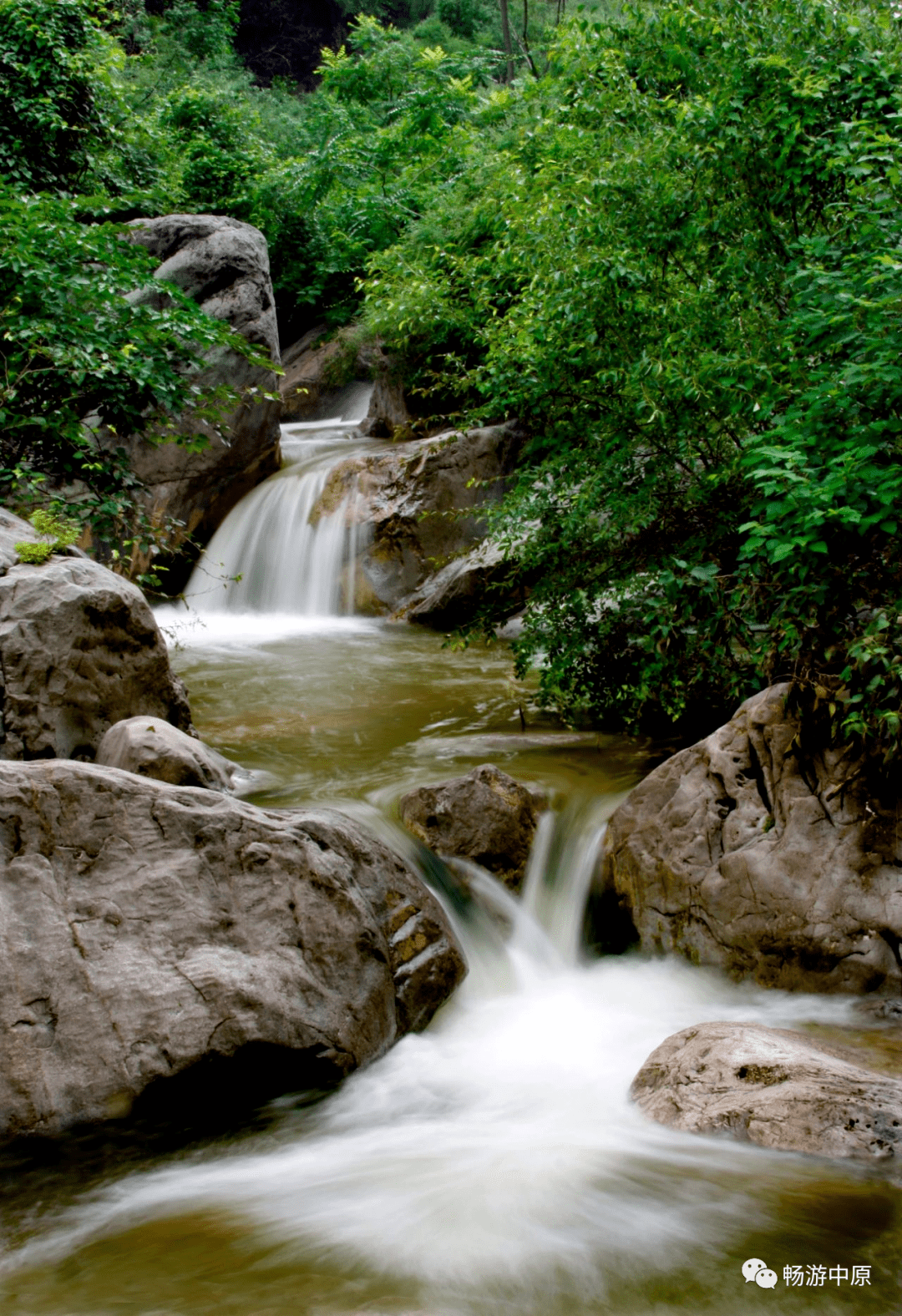 炎炎夏日走进秘境之地神农山感受那一夏清凉